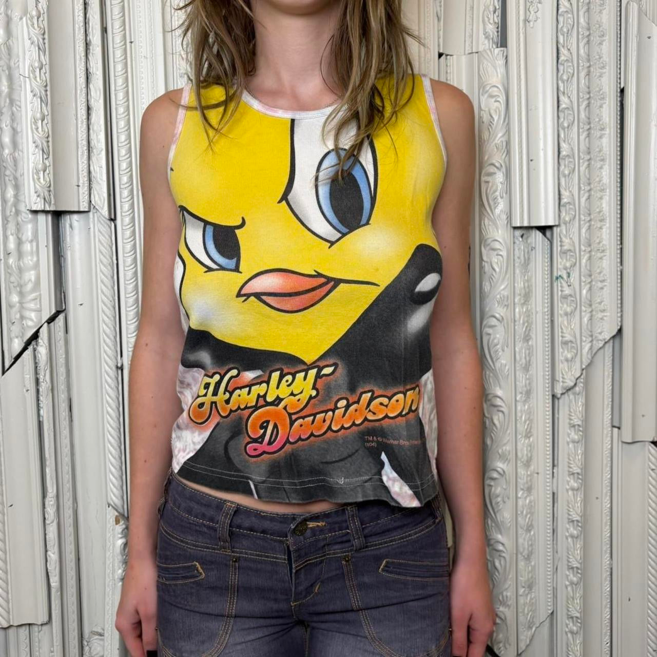 Harley Davidson & Looney Tunes El Paso, TX tank top